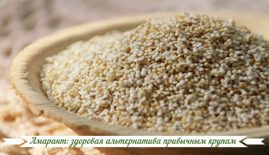 Амарант: здоровая альтернатива привычным крупам