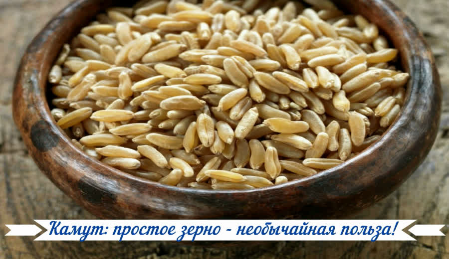 Камут: простое зерно — необычайная польза!