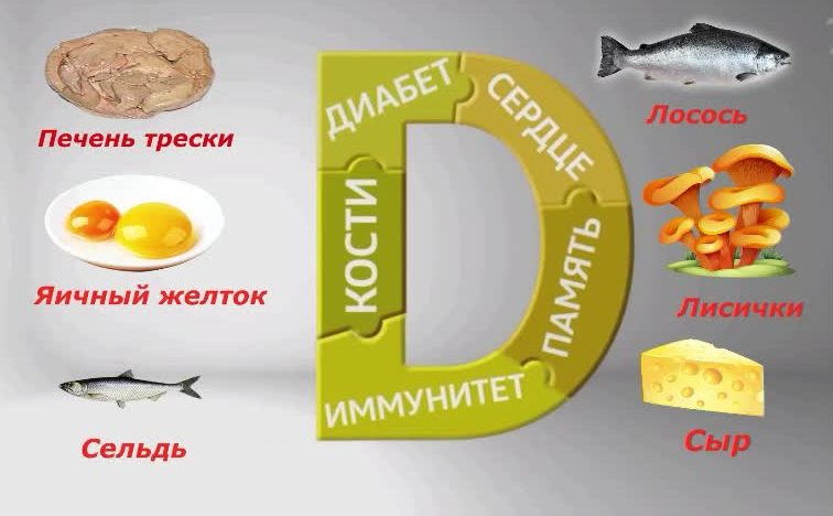 Значение витамина D для организма человека