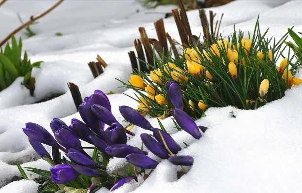 Поэзия весны: сезон любви, тепла и света...