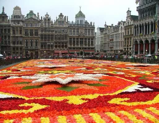 Ковер из живых цветов в столице Бельгии