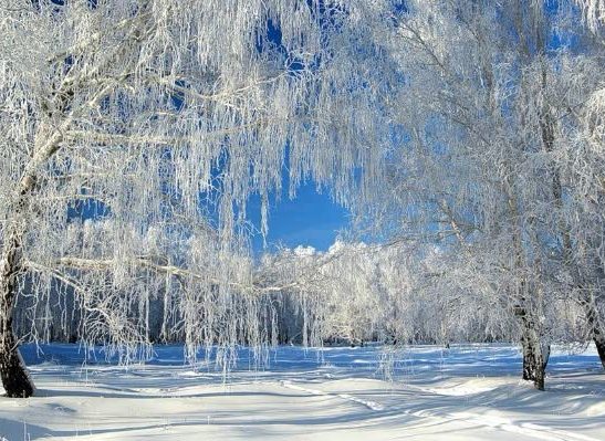 Поэзия зимы: поёт зима - аукает...