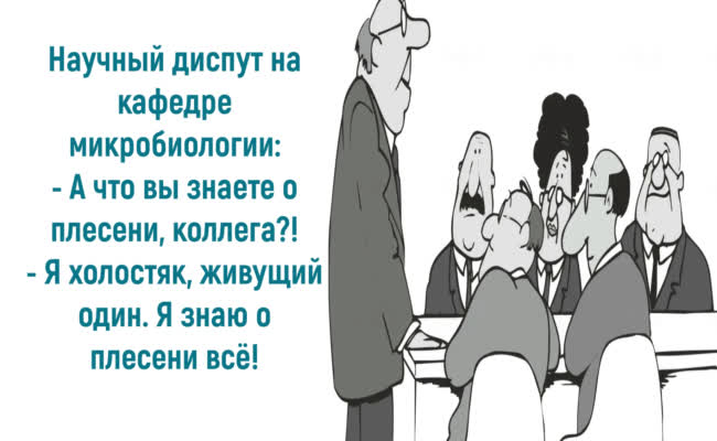 Анекдоты от души про холостяков